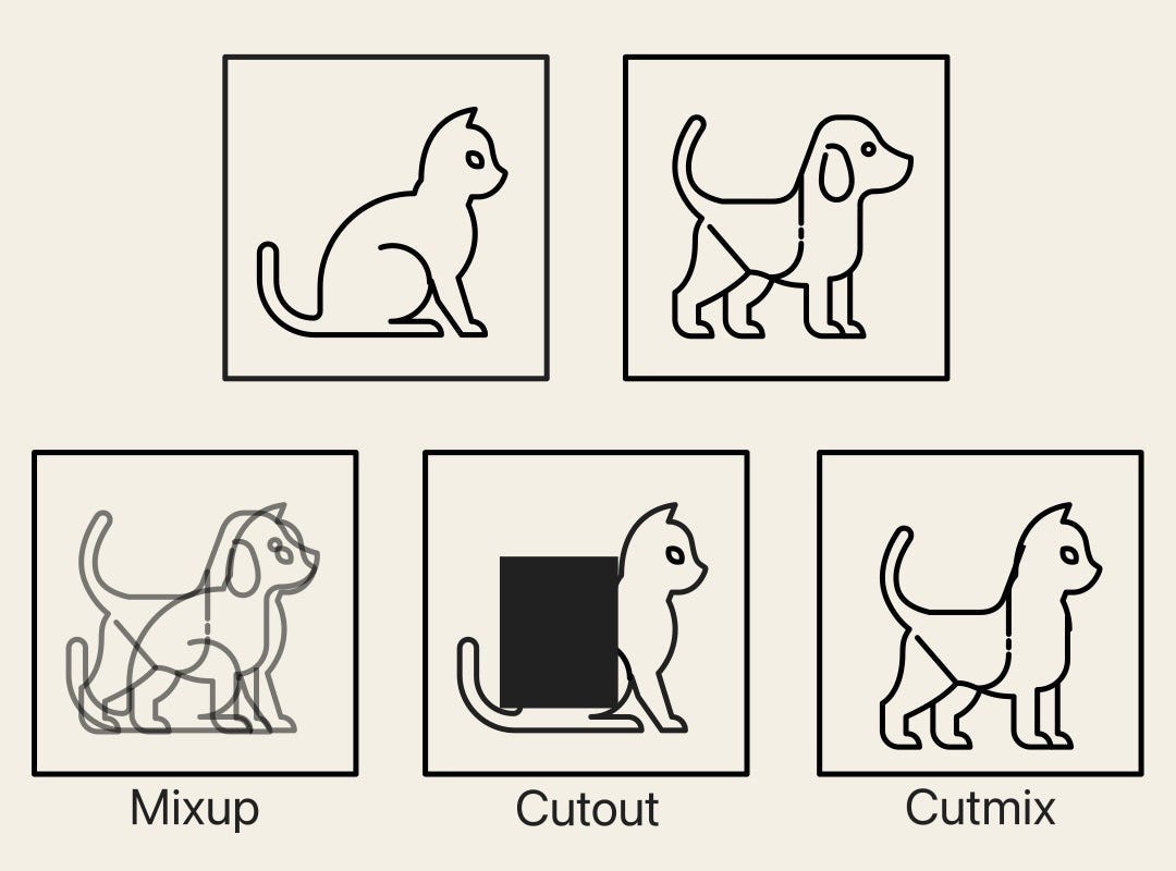 Advanced Data Augmentation Techniques